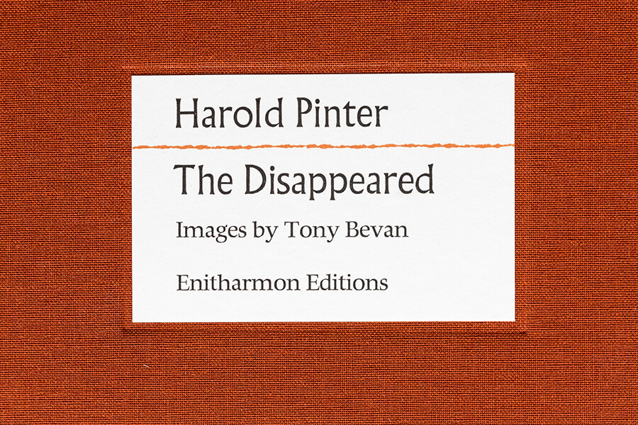 The Disappeared and Other Poems - Image 8