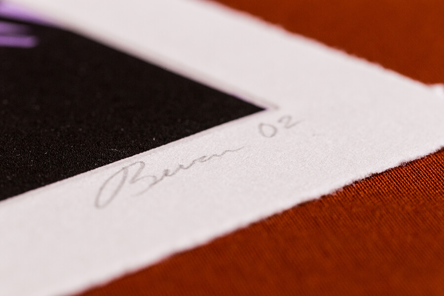 The Disappeared and Other Poems - Image 9