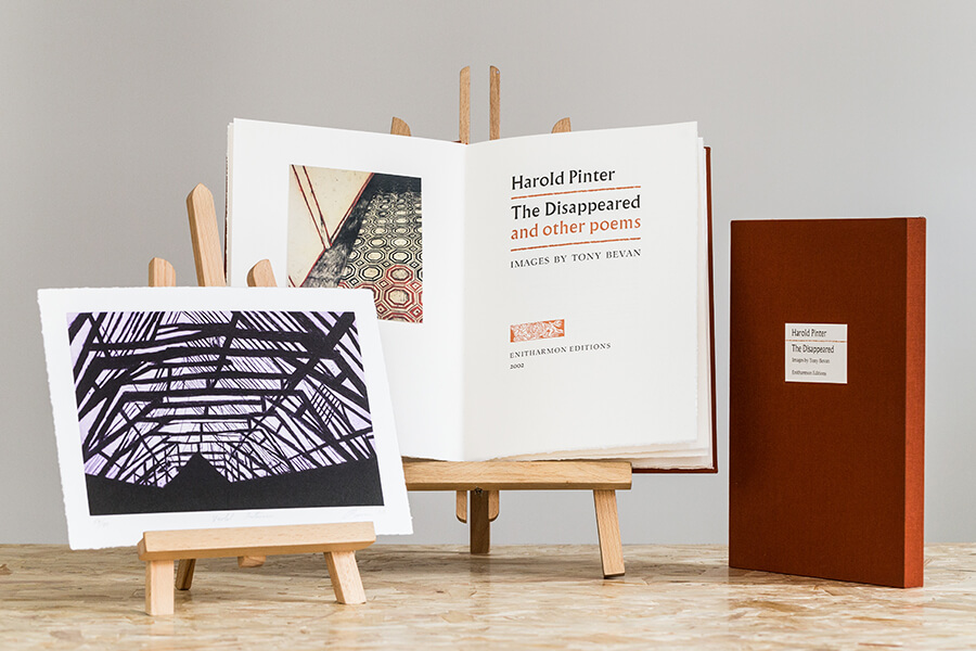 The Disappeared and Other Poems - Image 12