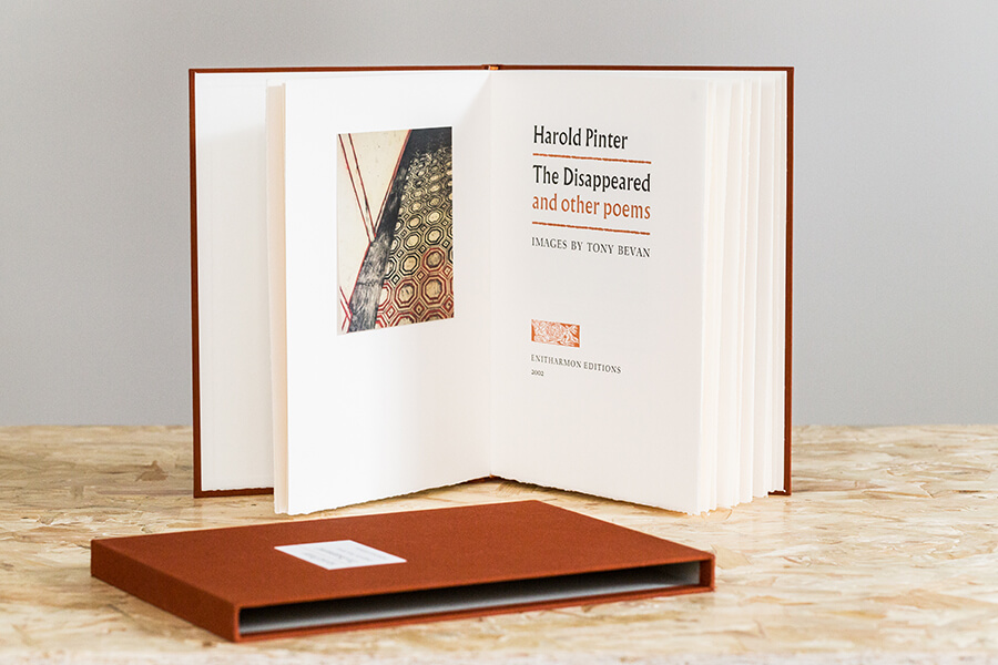 The Disappeared and Other Poems - Image 6