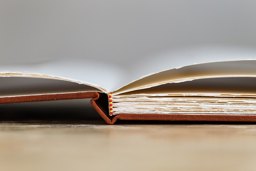 The Disappeared and Other Poems - Image 7