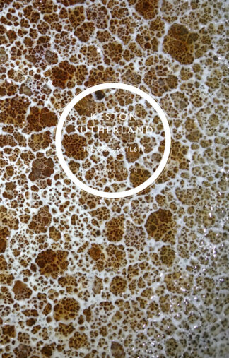 Cover image of The Odes to the TL61P