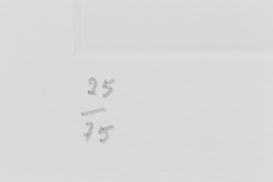 Stone Soup: de luxe edition - Image 12