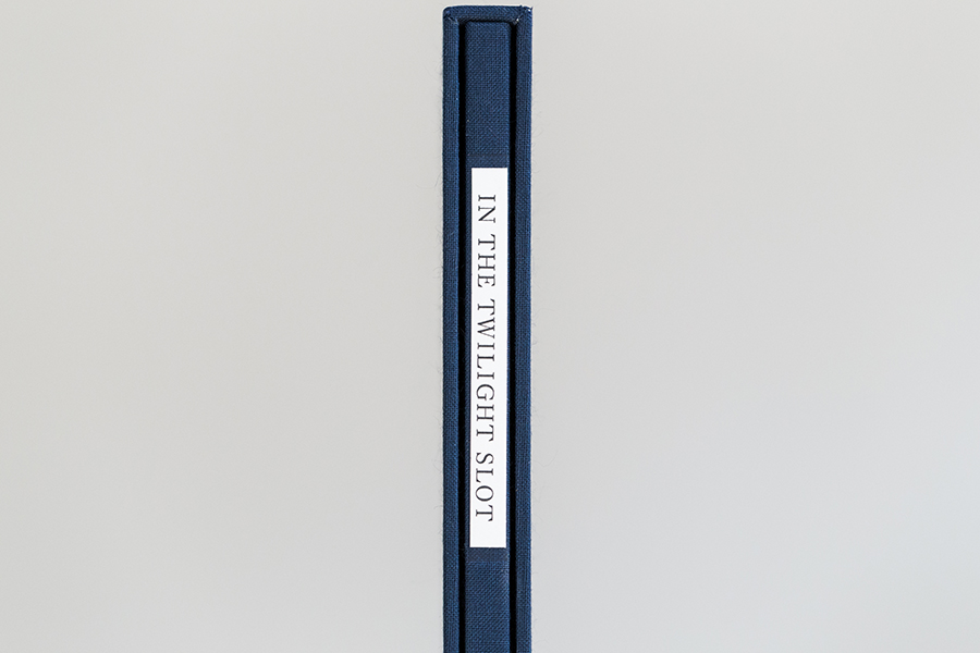 In the Twilight Slot - Image 8