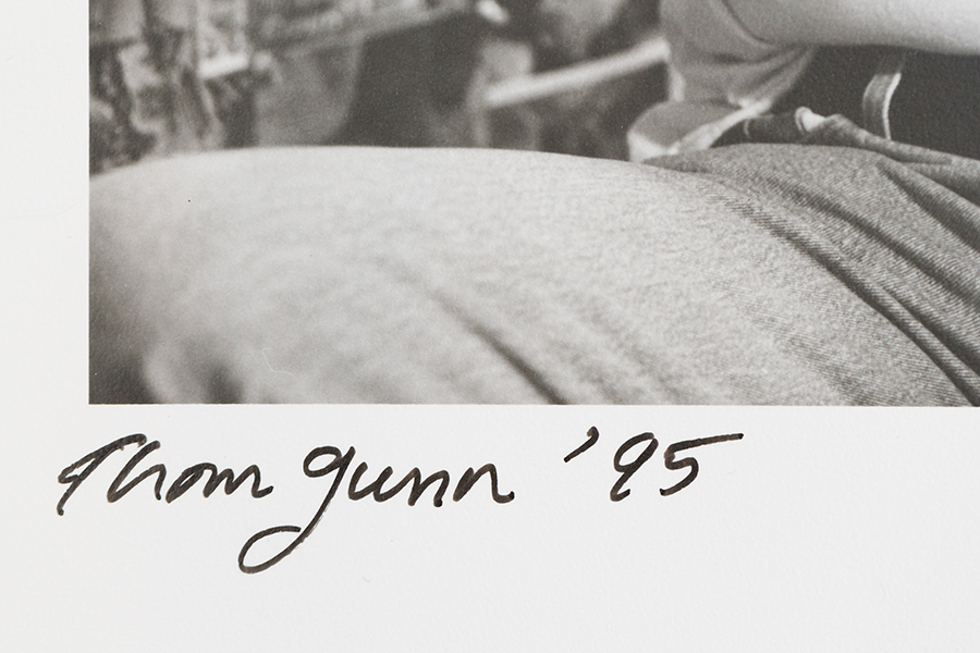 In the Twilight Slot - Image 4