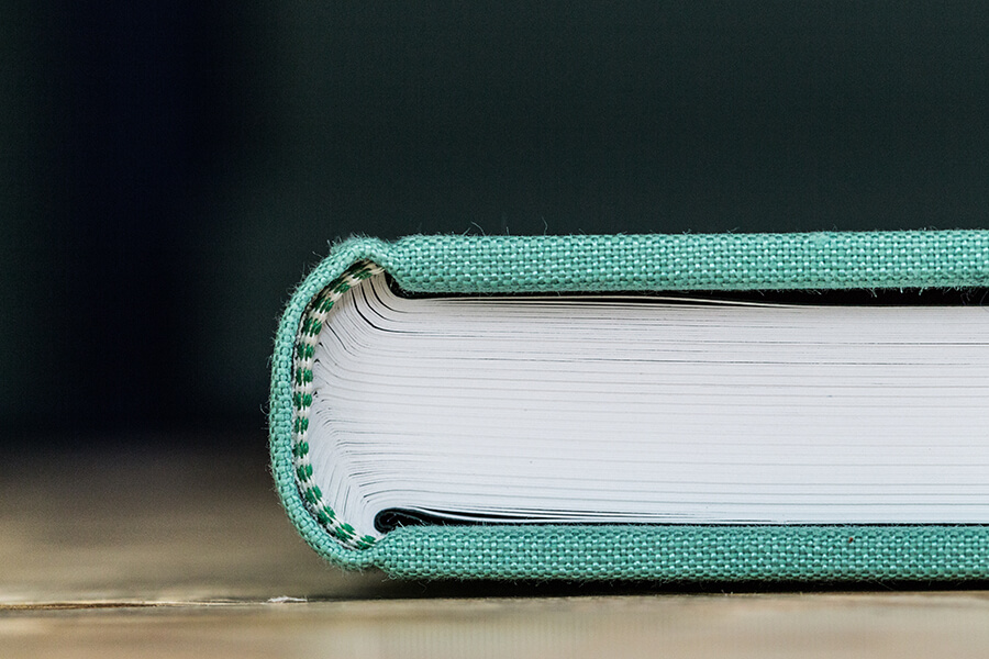 Under Milk Wood: de luxe edition - Image 6