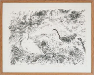 Pigeons with Pelican