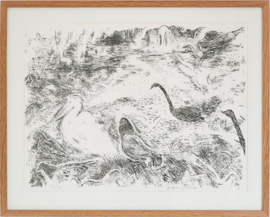 Pigeons with Pelican