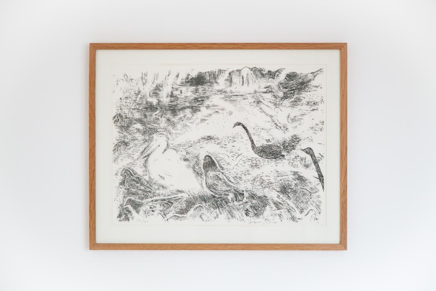 Pigeons with Pelican - Image 2